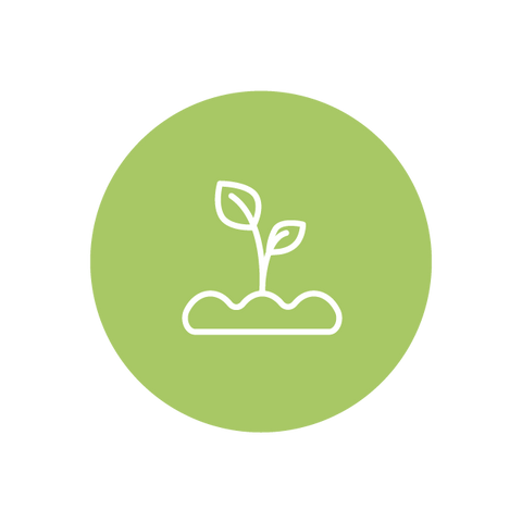 PLANTABLE PROMO
