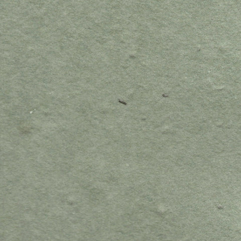 A closeup of natural green deckle edge hand made paper embedded with wildflower seeds
