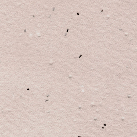 A closeup of blush pink deckle edge hand made paper embedded with wildflower seeds
