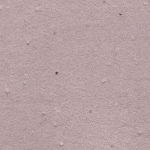 A closeup of dusty lavender deckle edge hand made paper embedded with wildflower seeds