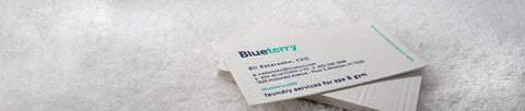 BLUETERRY BUSINESS CARDS