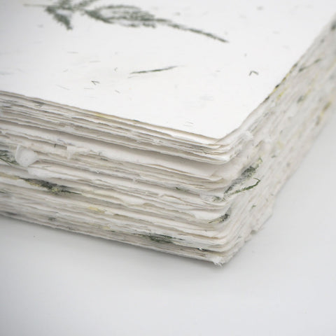 A stack of white deckle edge hand made paper embedded with fern