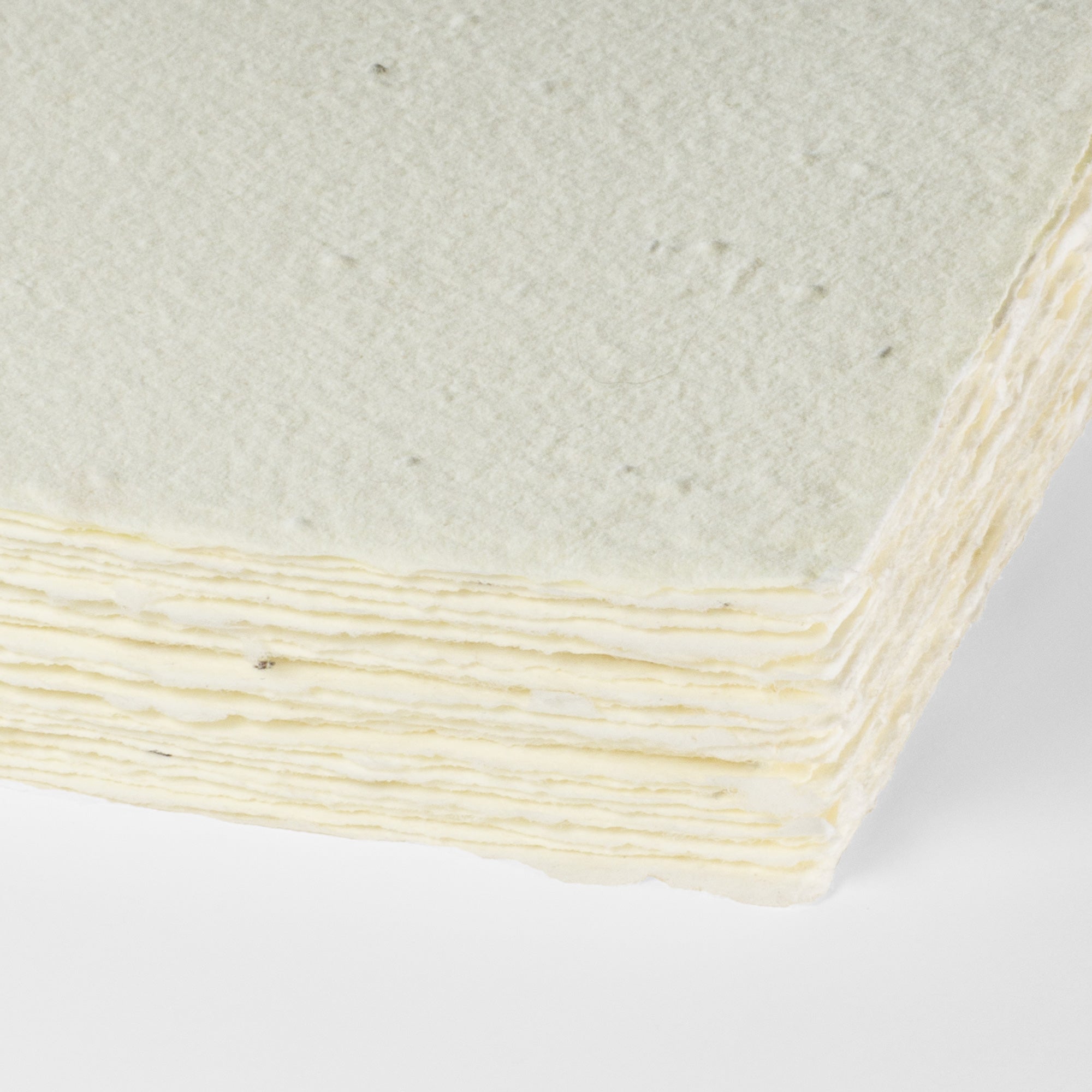 Mellow - Plantable Handmade Deckle Edge Paper – Porridge Papers