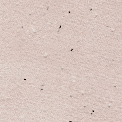A closeup of blush pink deckle edge hand made paper embedded with wildflower seeds